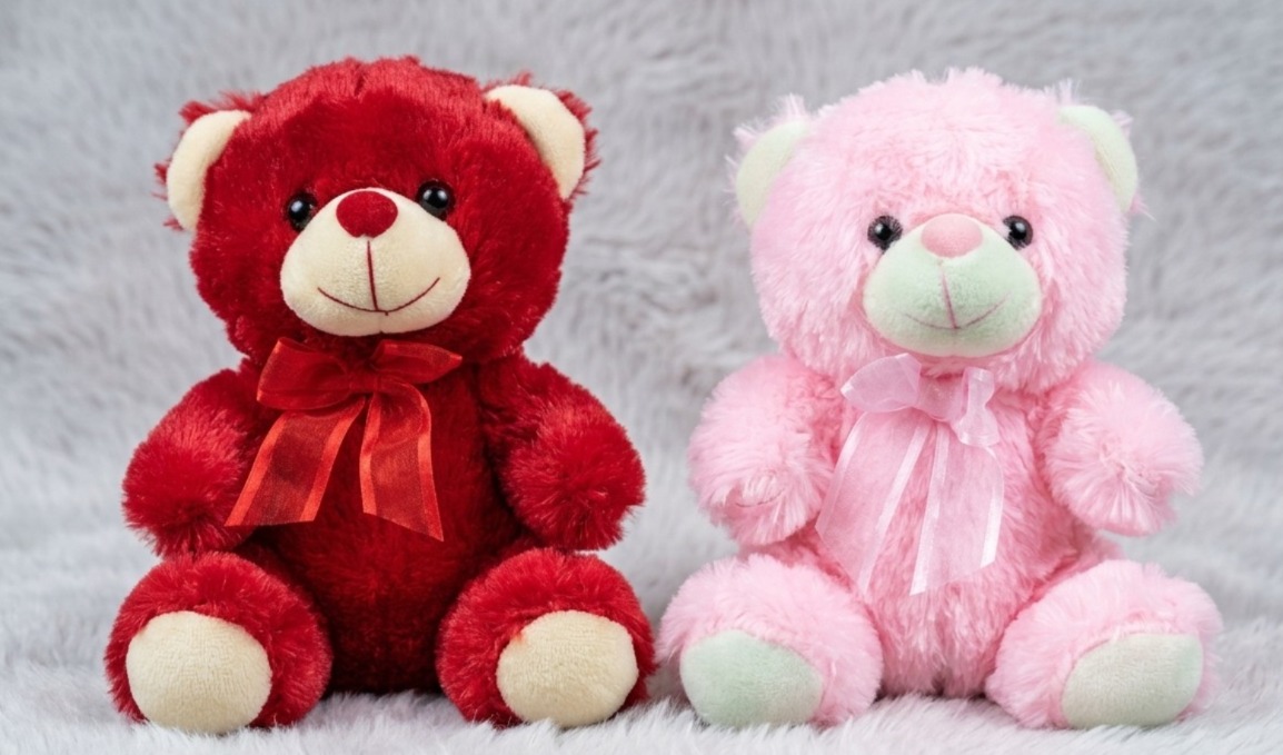 Beautiful Cute Teddy