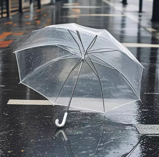 Transparent Umbrella