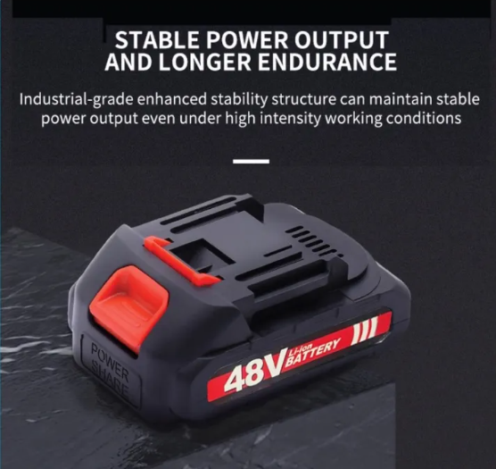 48V Rechargeable Extra Lithium Battery
